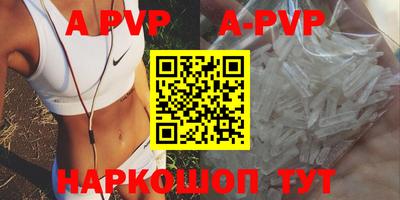 гашик Будённовск