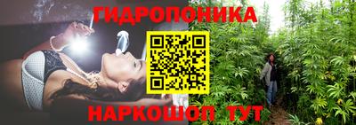 гашик Будённовск