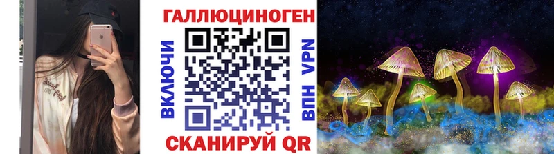 наркотики  Горно-Алтайск  Галлюциногенные грибы Psilocybe 