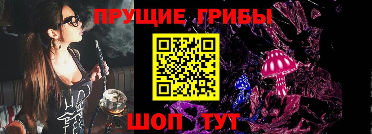 Галлюциногенные грибы Psilocybe  Вход с VPN  Горно-Алтайск 