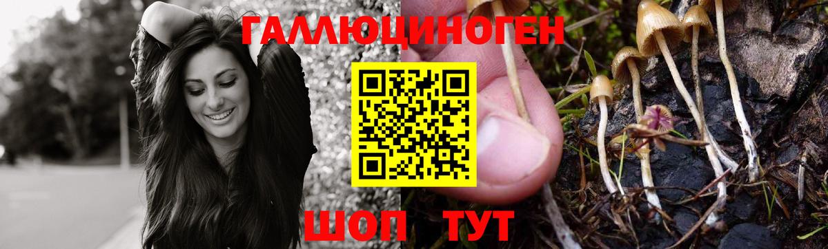 продажа наркотиков  Горно-Алтайск  Галлюциногенные грибы мицелий  Псилоцибиновые грибы прущие грибы 